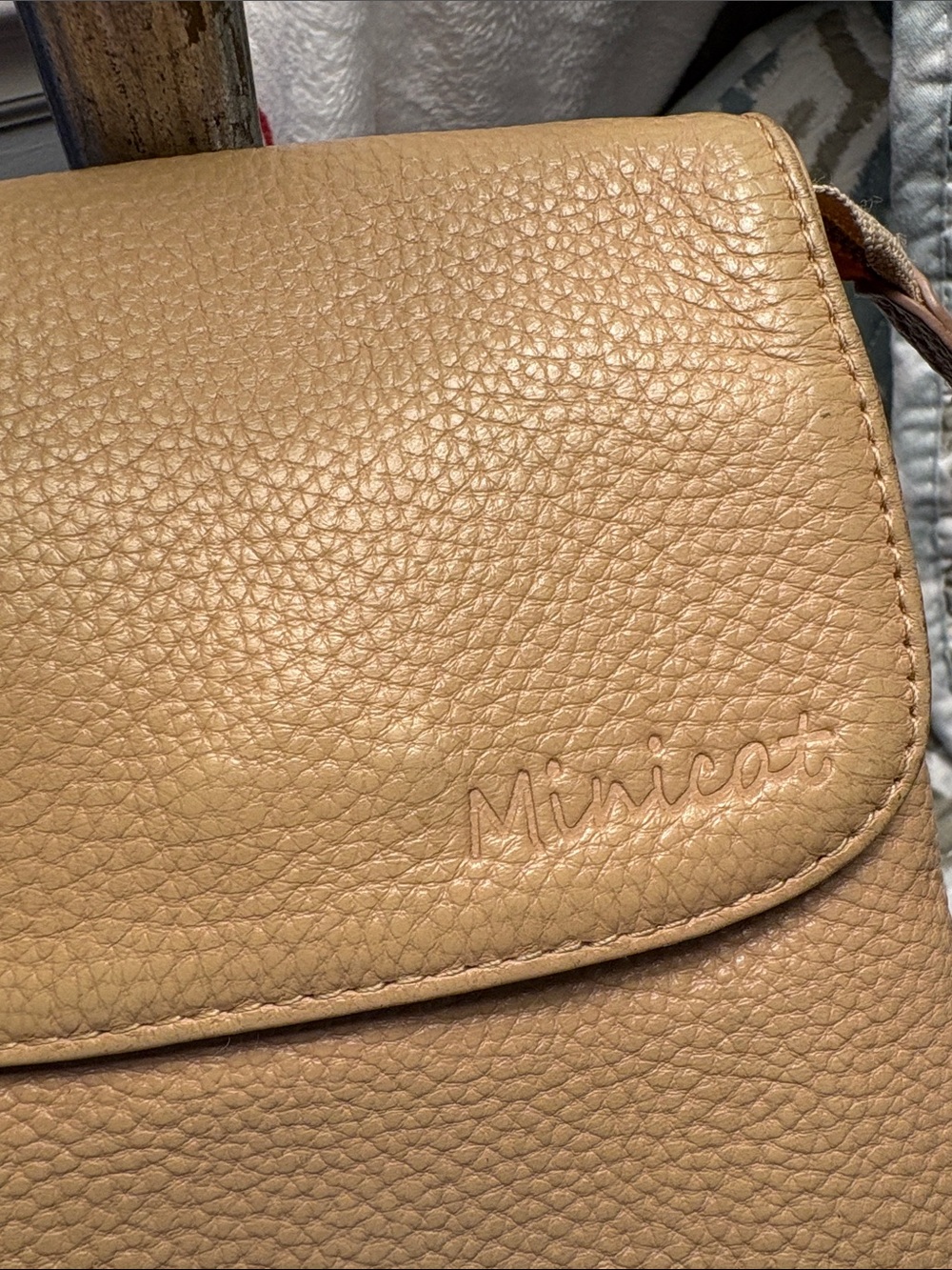 Minicat Leather Crossbody Phone Bag in Tan RFID